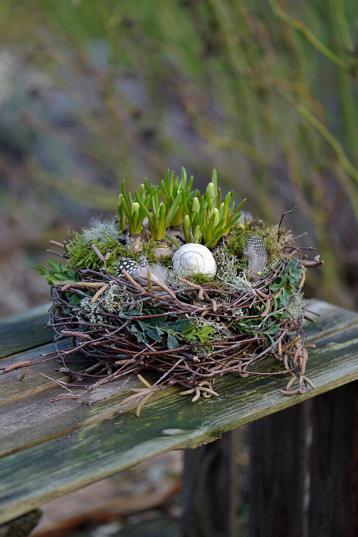 A nest made of birch twigs with pearl hyacinths