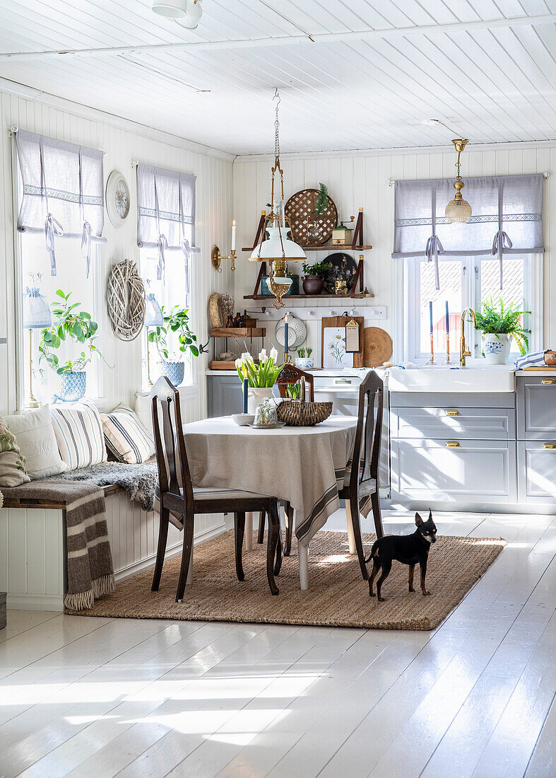 Eat-in kitchen in a cottage with white painted wood paneling