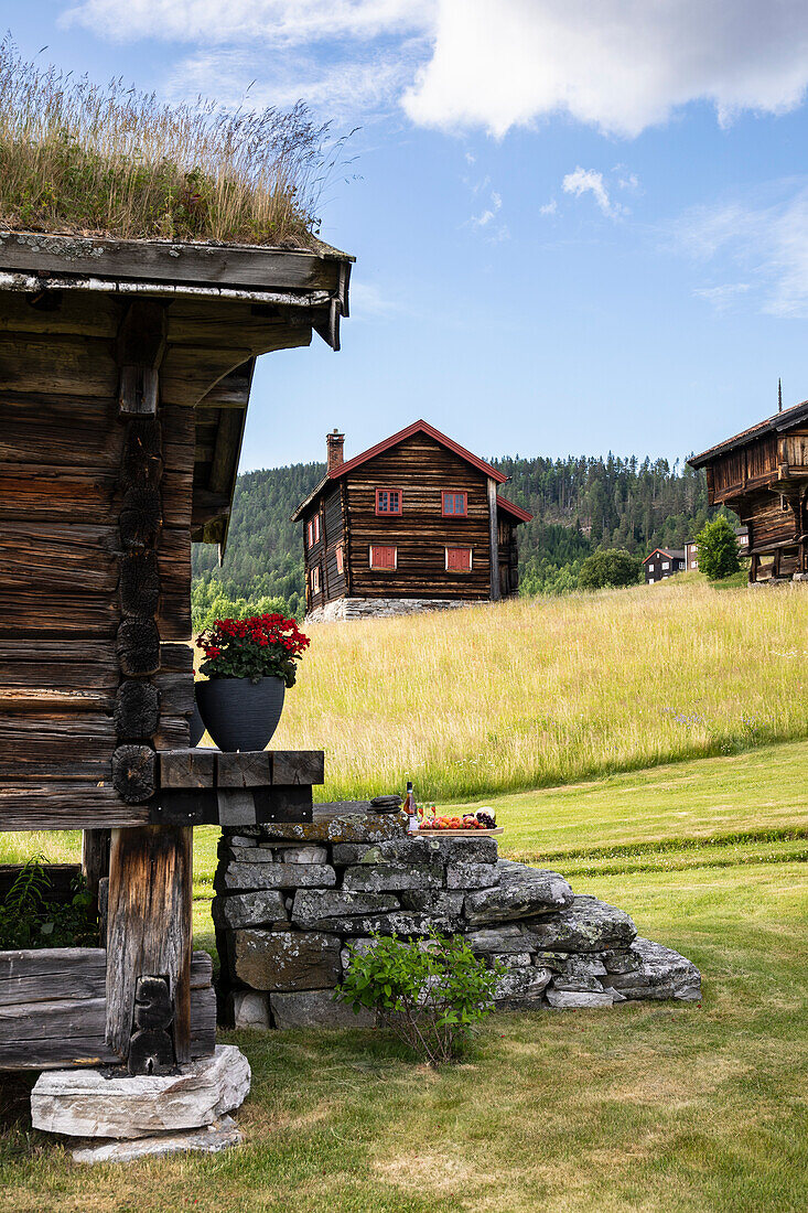 Summer landscape with wooden cottages