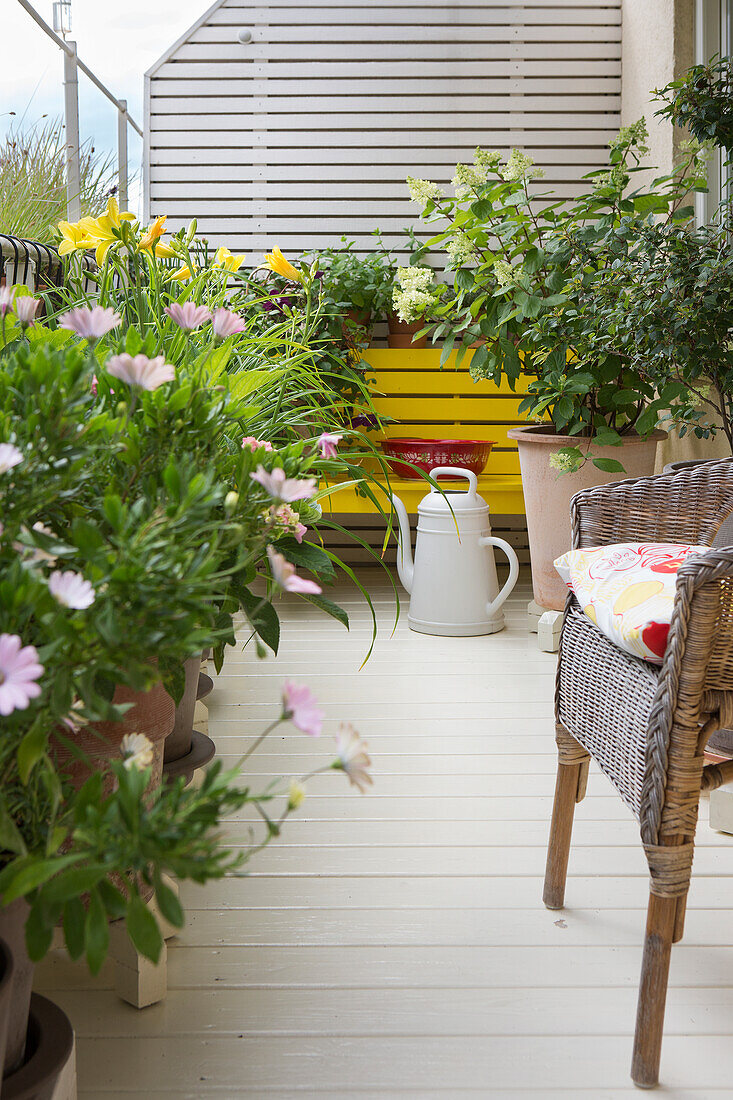 Blumentöpfe und Sitzmöbel auf Terrasse mit weiß gestrichenem Holzboden