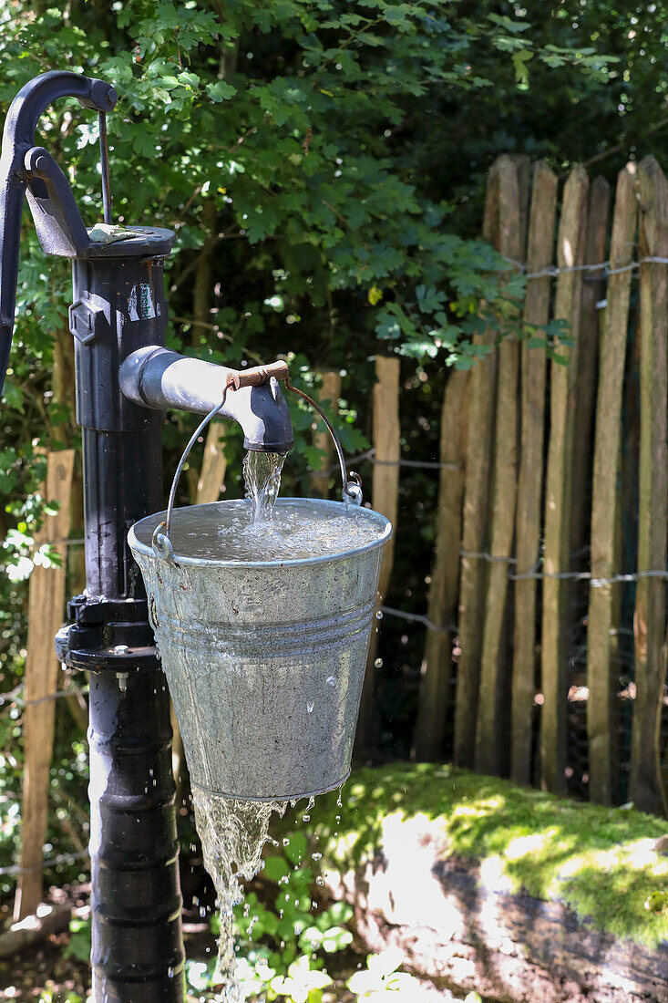 Fountain with galvanized bucket