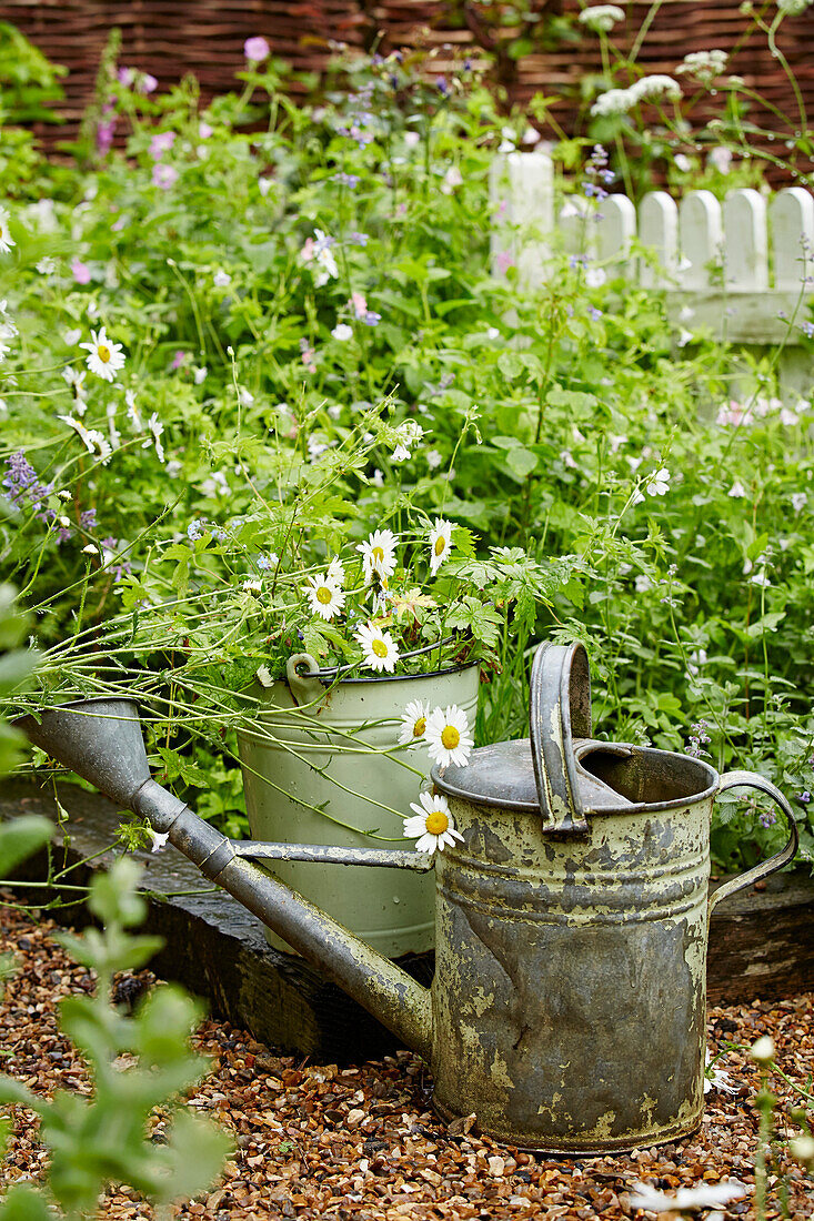 Rusty watering can in the garden