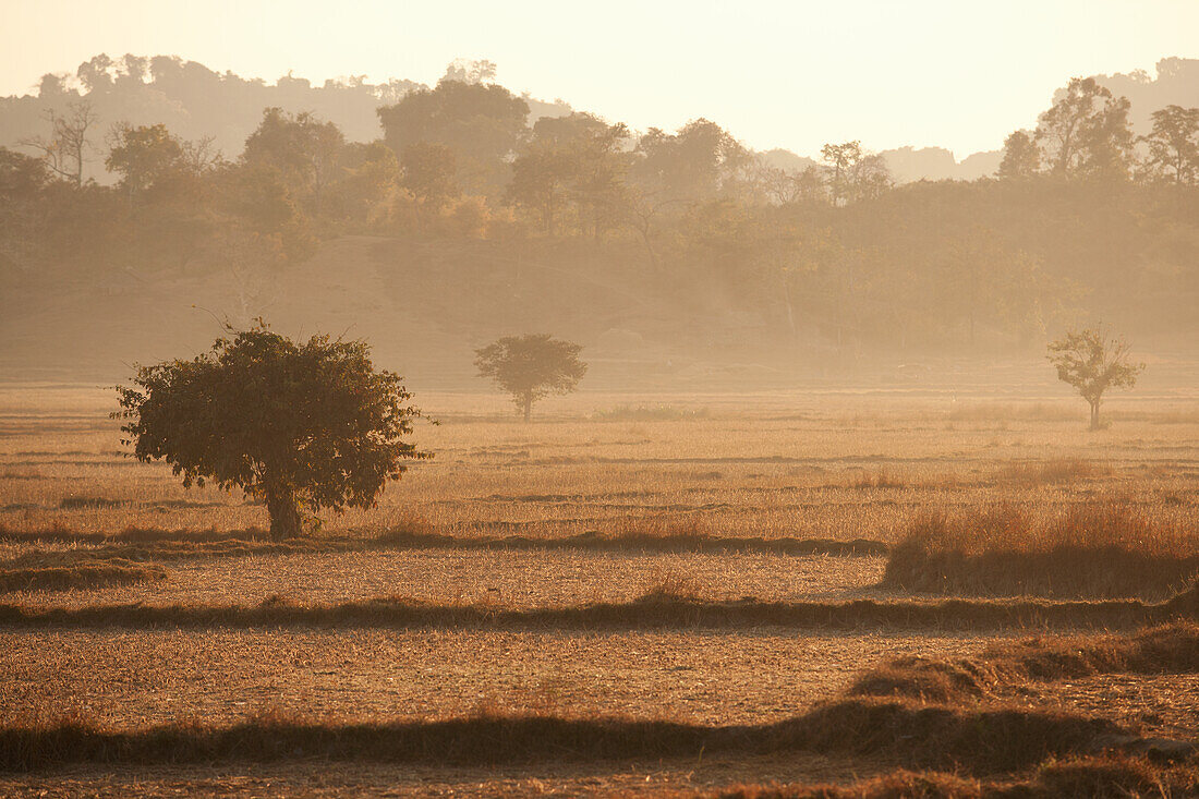 Dry plain in Myanmar