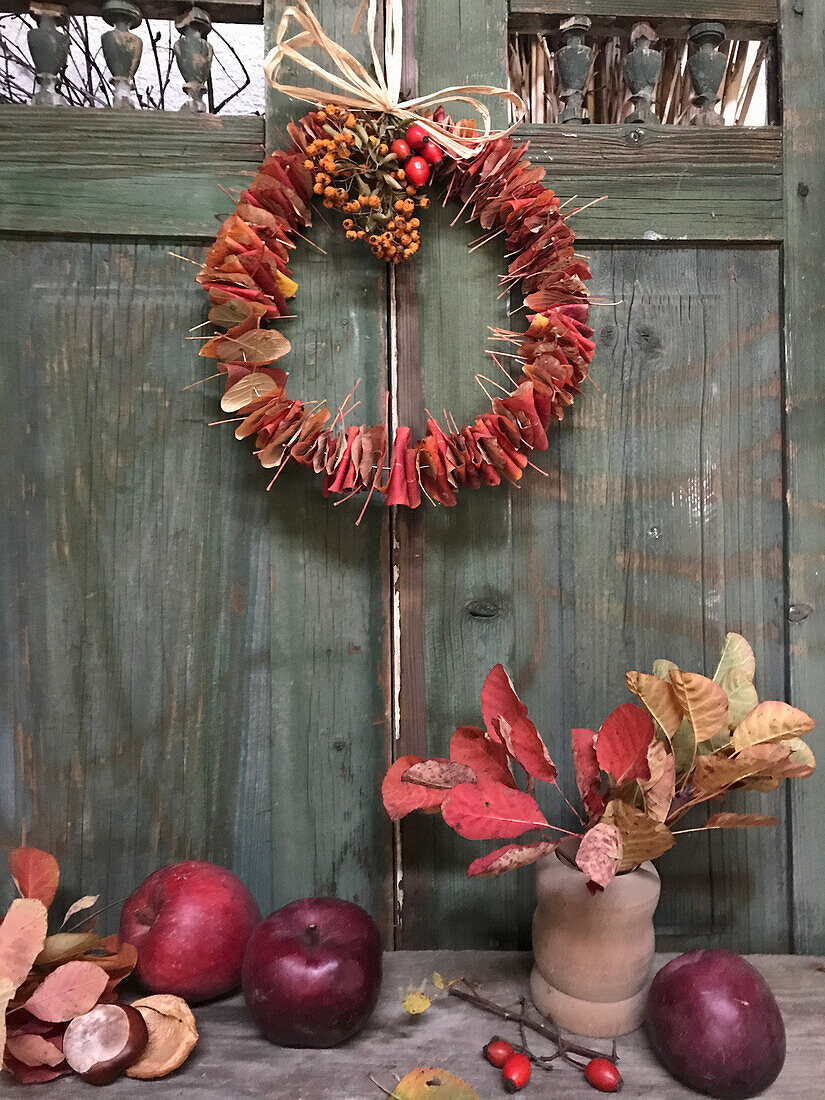 Autumn wreath made from the leaves of a smoke tree (Cotinus)