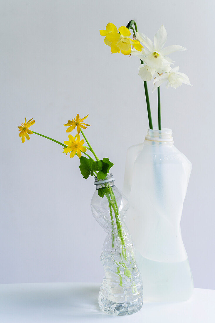 Frühlingsblumen in recycelten Plastikflaschen