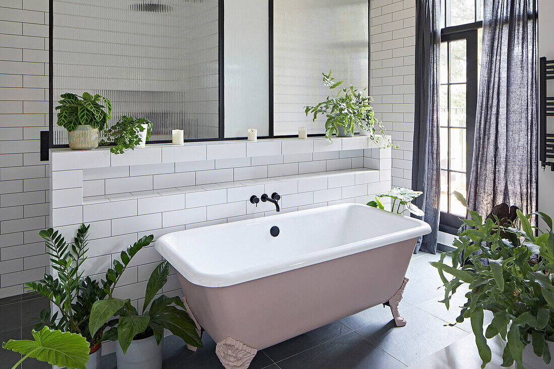 Free-standing bathtub in front of partition wall and houseplants in the bathroom