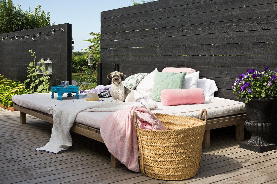 Tagesbett mit Kissen und Hund auf Holzterrasse