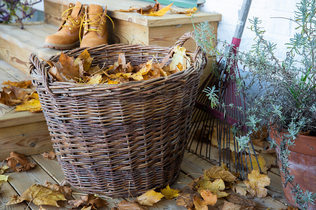 Willow basket with autumn leaves on the veranda