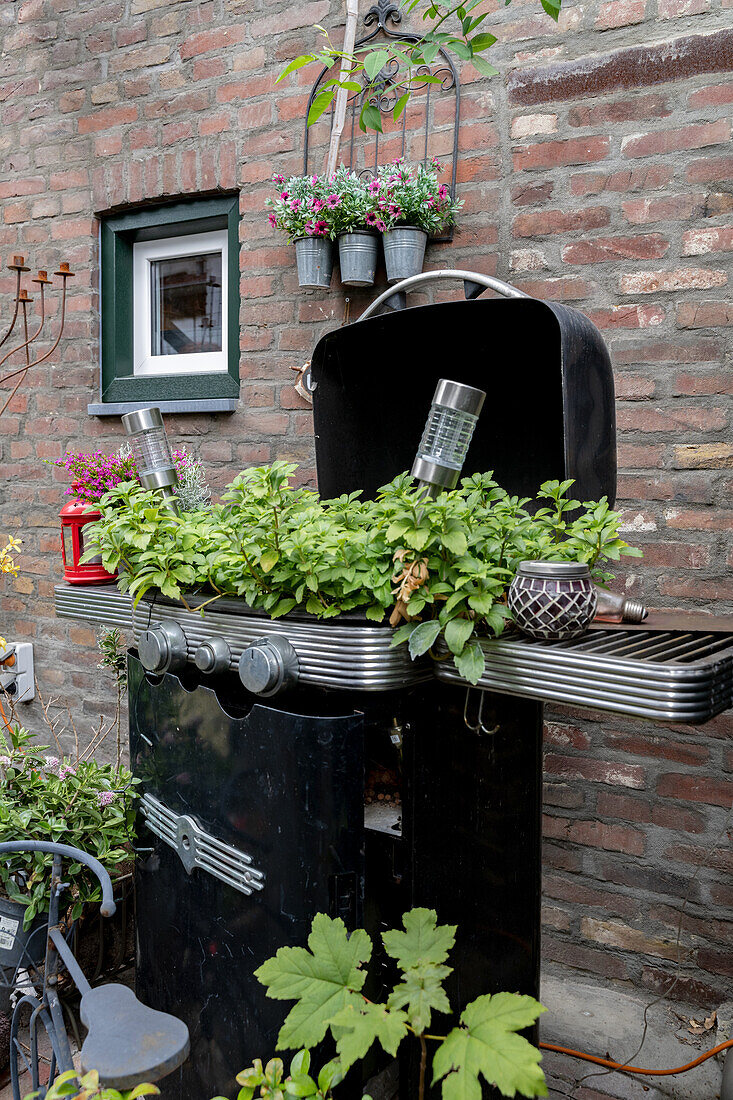An old barbecue grill used as a planter in front of a brick wall