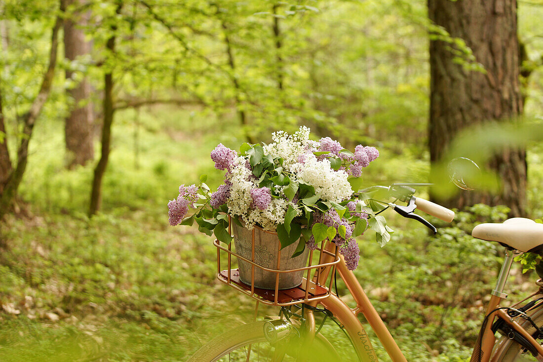 Fahrradkorb mit Blumenstrauß aus Fliederblüten