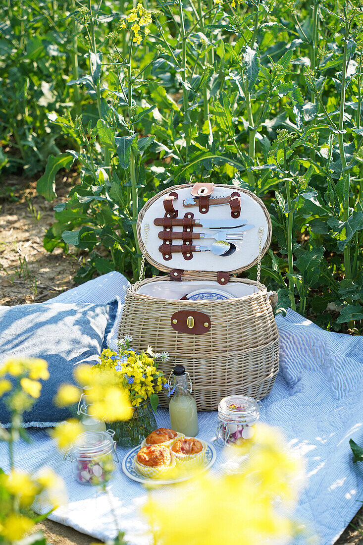 Picnic basket with crockery and cutlery on a blanket