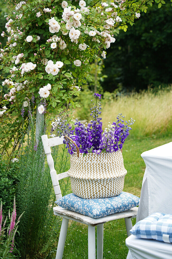 Garden chair with cushion and woven basket with delphinium in front of rose arch in summer garden