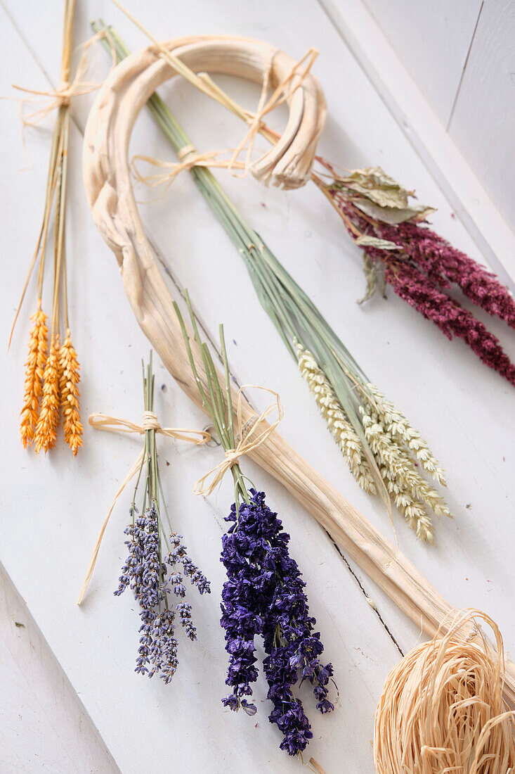 Dried flowers collection