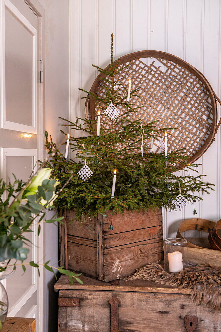 Small Christmas tree with candles in a wooden box on a rustic sideboard