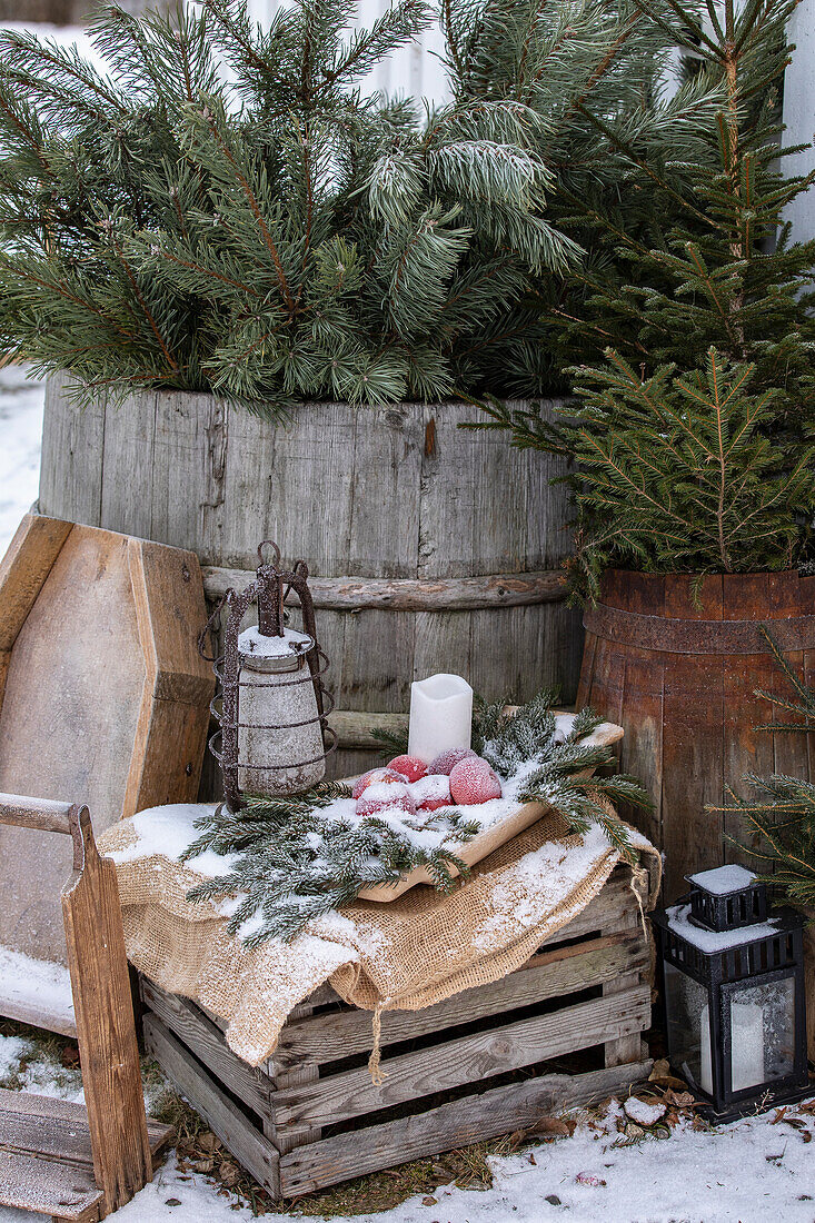 Winter garden decorations made from wooden barrels with fir branches and lanterns