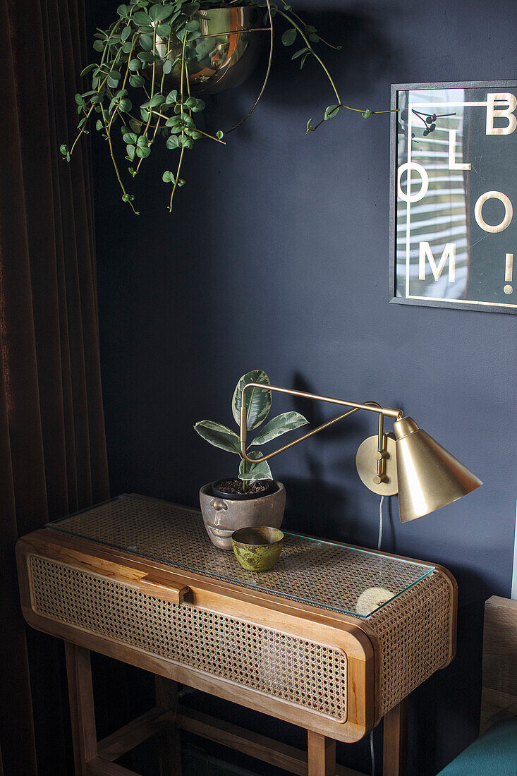 Sideboard mit Rattan-Front, goldener Lampe und Zimmerpflanze vor dunkelblauer Wand