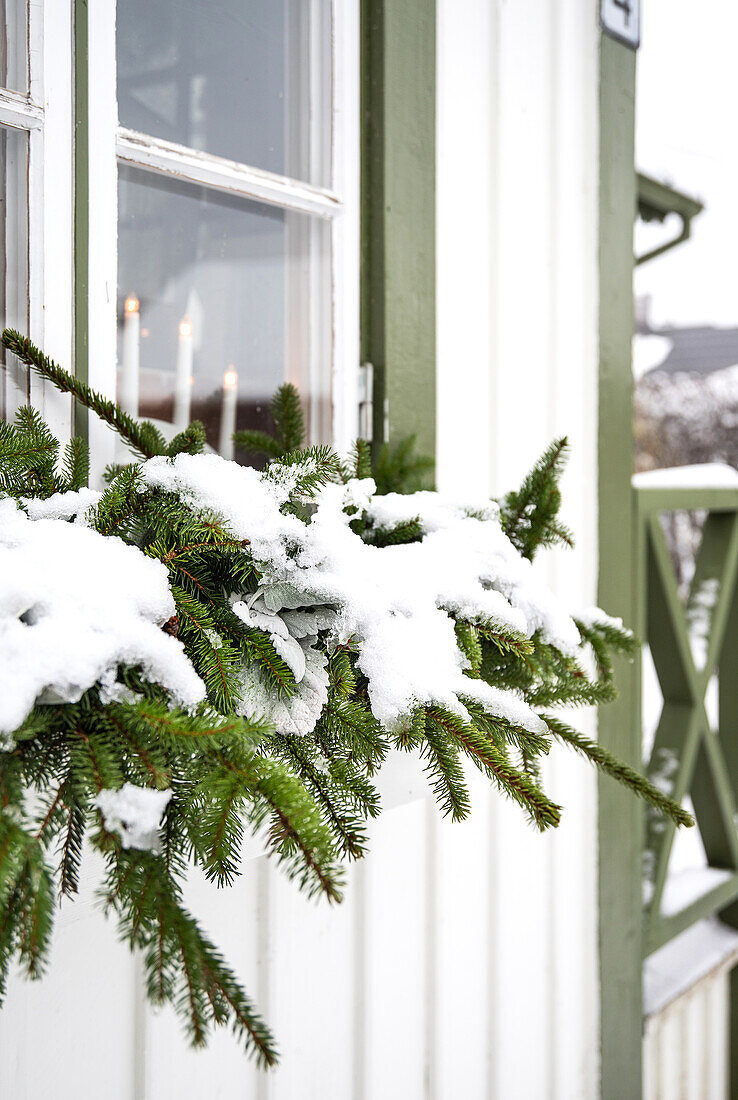 Windowsill with snow-covered fir branches