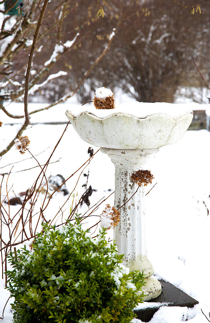 Mit Schnee bedeckte Vogeltränke im winterlichen Garten