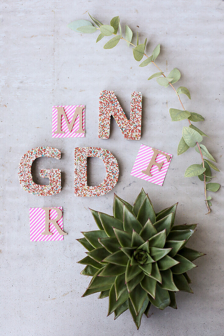 Letter decoration on concrete background with echeveria plant and eucalyptus branch