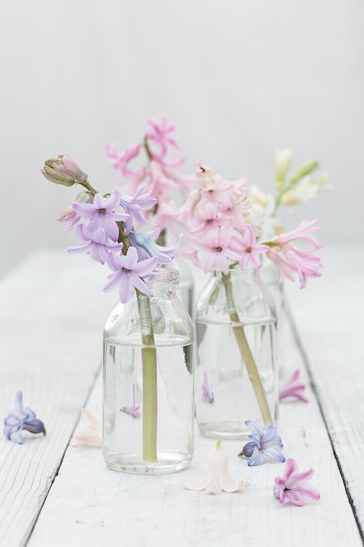 Arrangement with pastel-colored hyacinths in small glass bottles