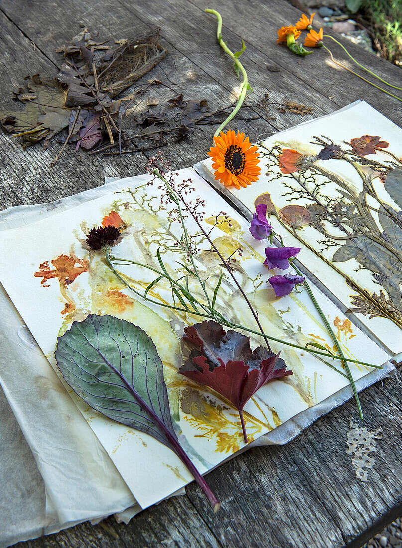 Colouring paper with pressed leaves and flowers