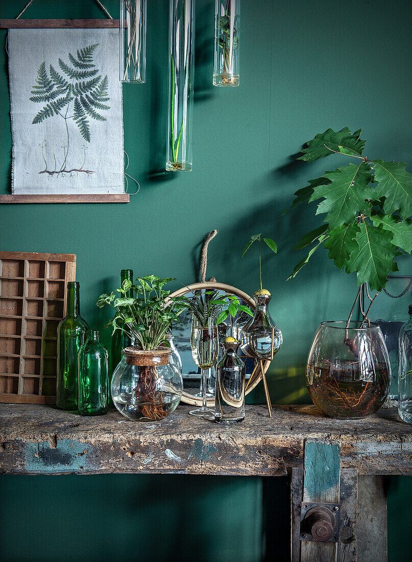 Vintage-Holzwerkbank mit Pflanzen und Glasflaschen vor grüner Wand