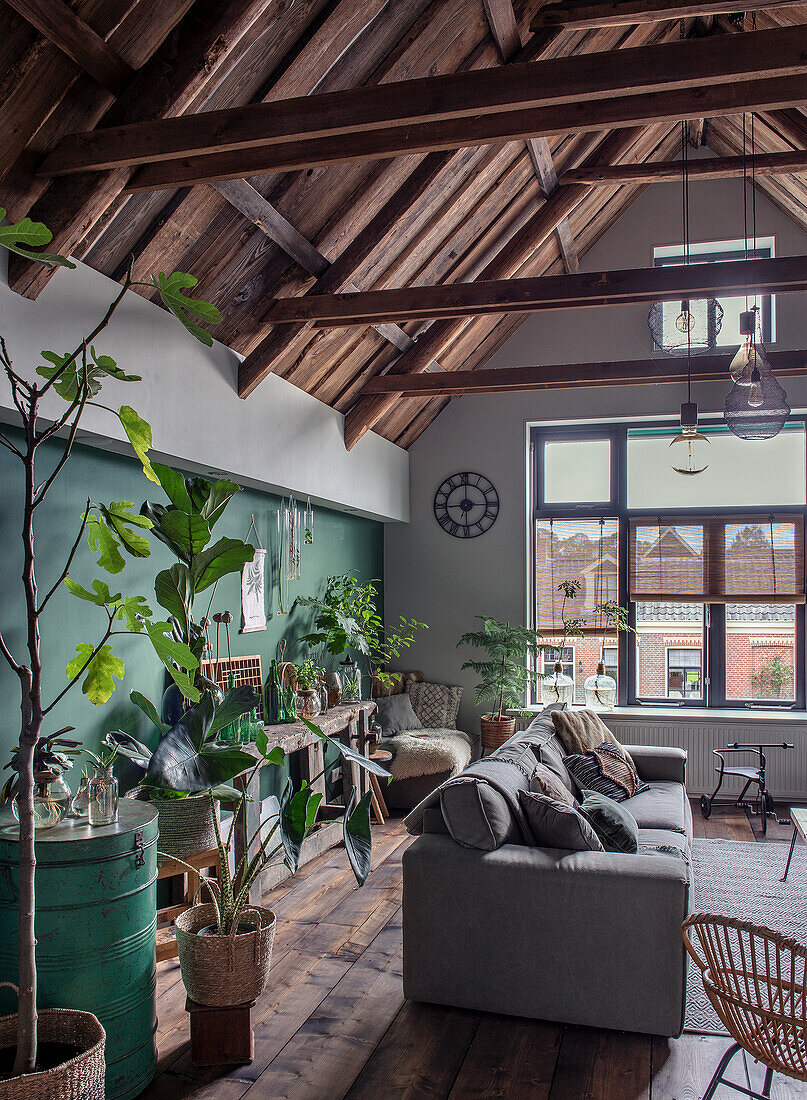 Living room with roof beams, green-painted wall and lots of plants