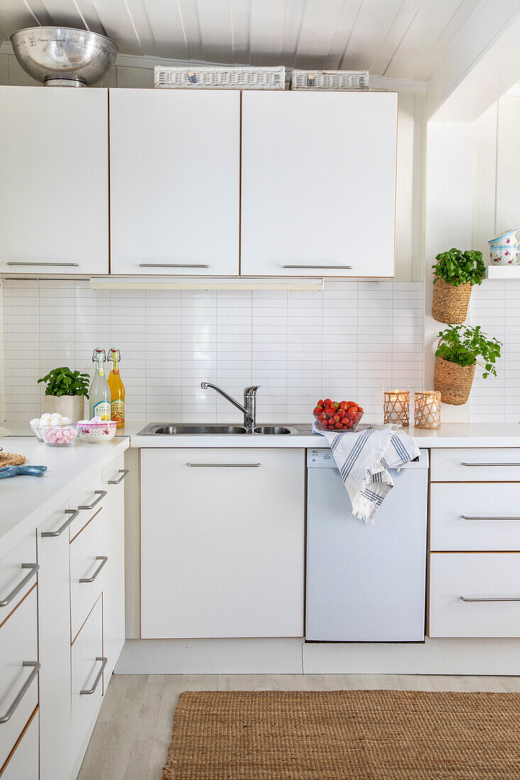 White kitchen with herb pots on the wall