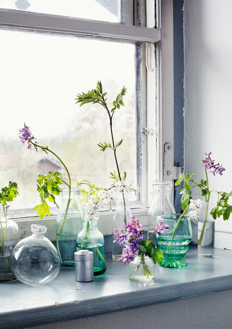 Verschiedene Vasen mit Frühlingsblumen auf Fensterbank vor Fensterscheibe