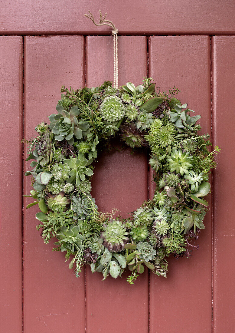 Wreath of succulents on a red wooden door