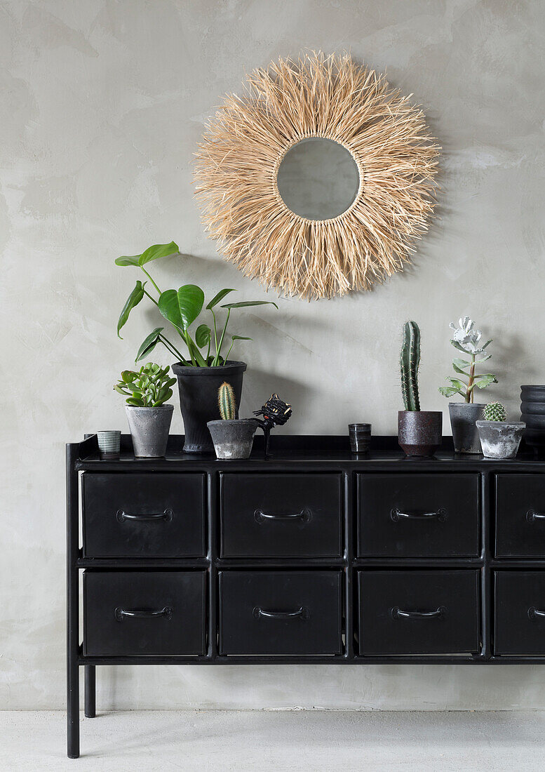 Black chest of drawers with various houseplants and mirror with natural frame on concrete wall