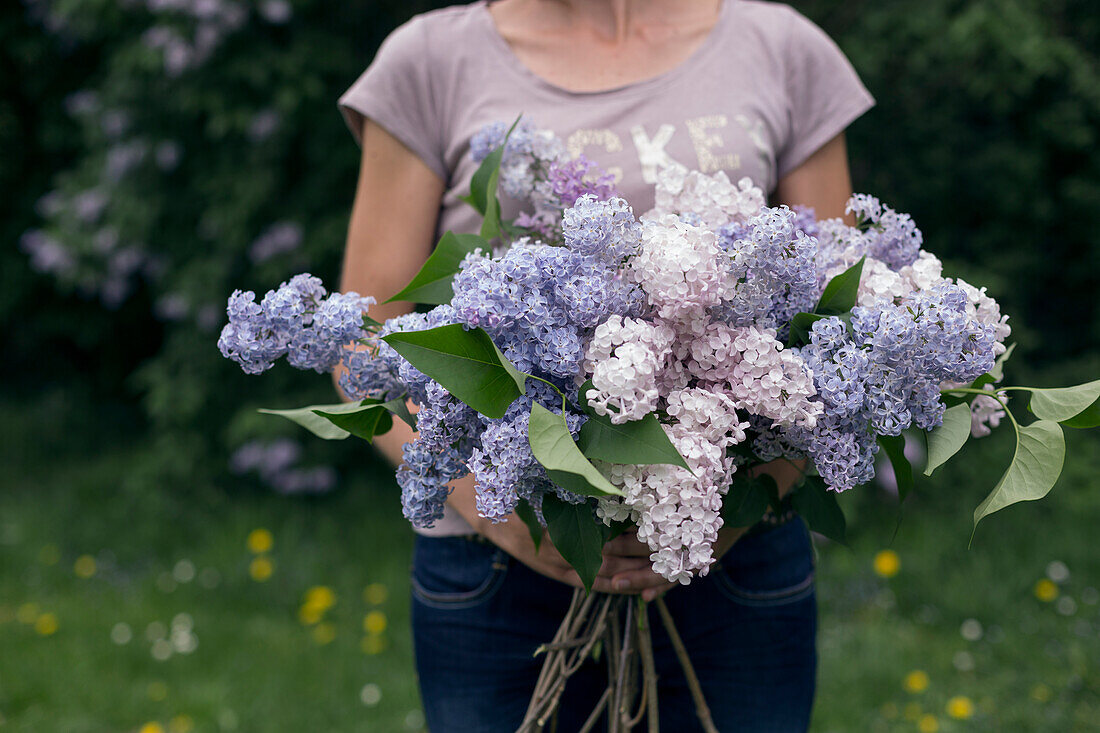 Woman holding a bouquet of lilacs (Syringa) in various shades of purple