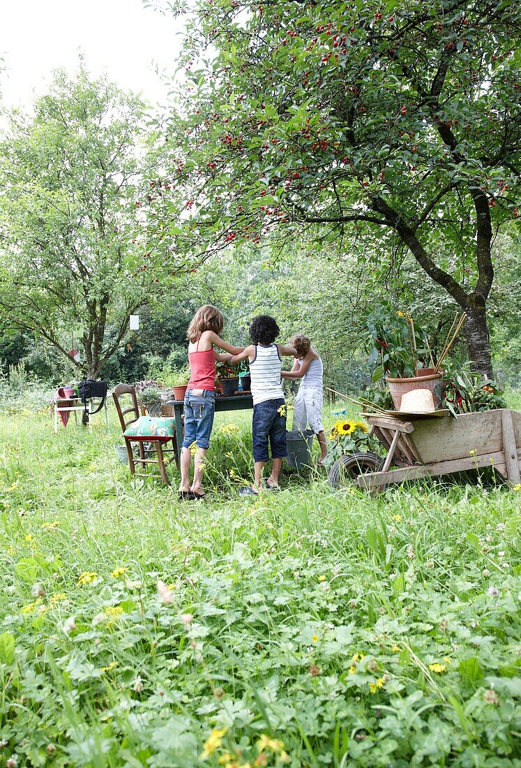Children playing in orchard