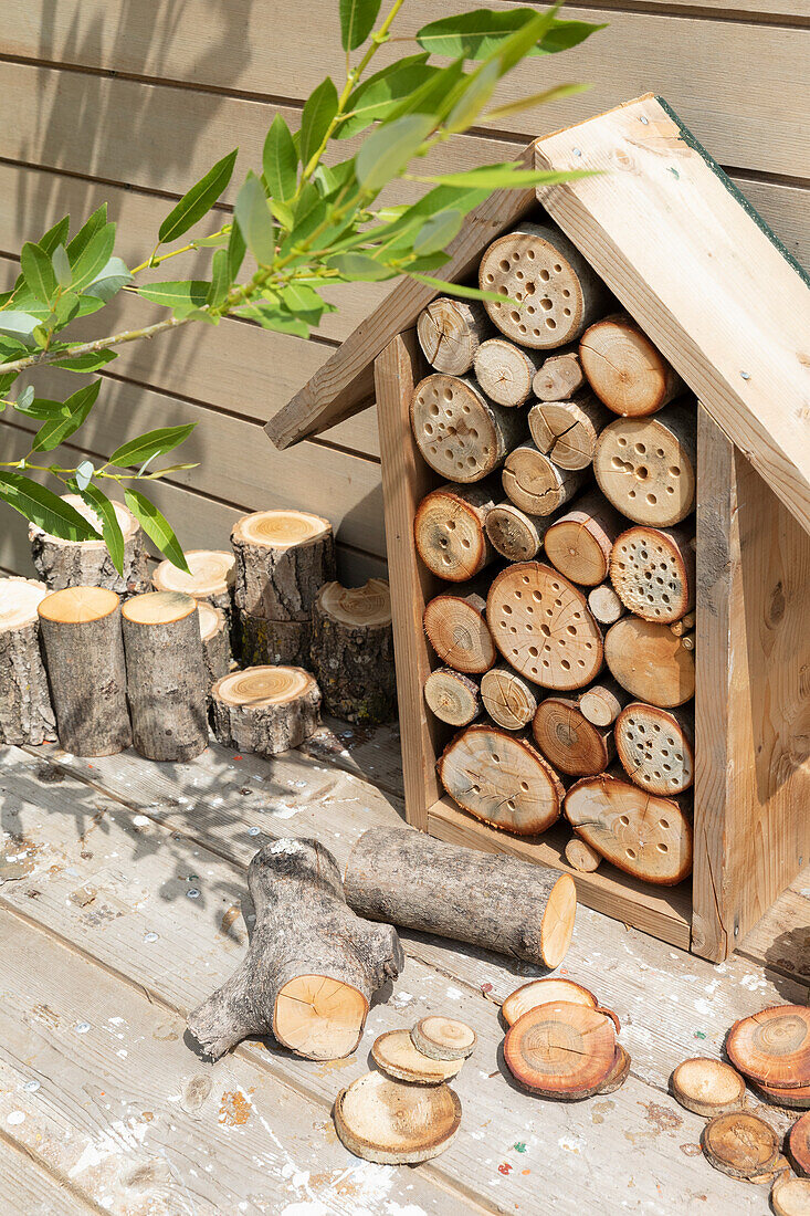 Homemade insect hotel made from wooden discs and branches