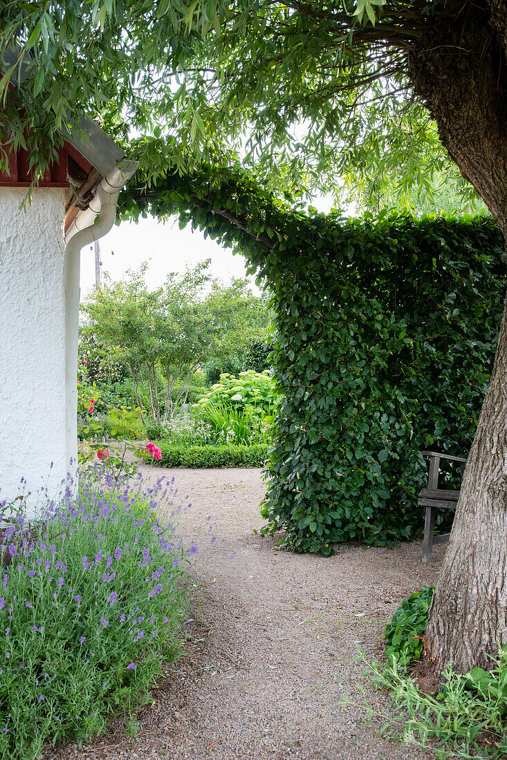 Well-kept garden path through leaf gate