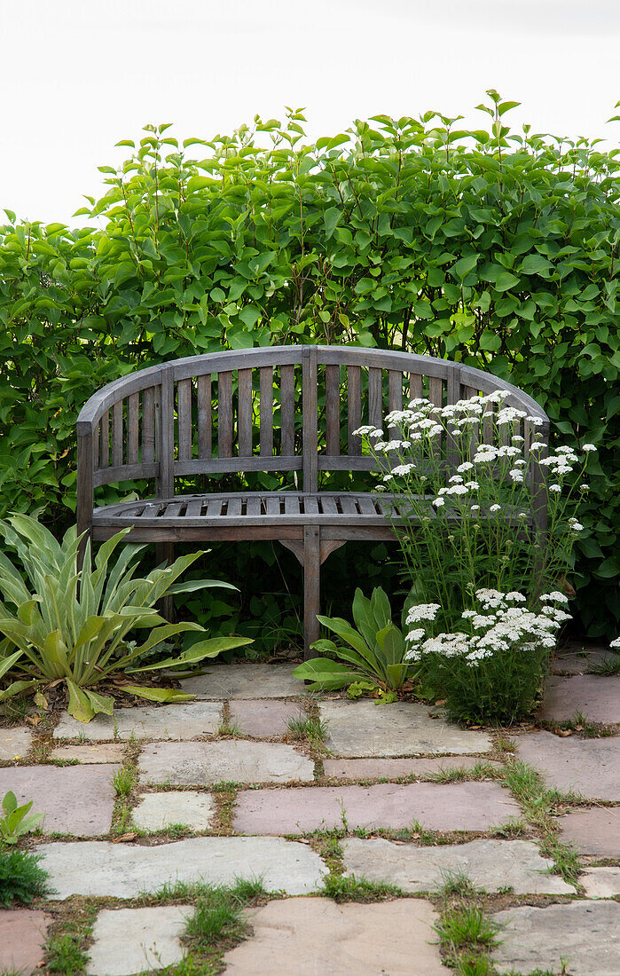 Gepflasterter Gartenbereich mit Holzbank vor Ligusterhecke