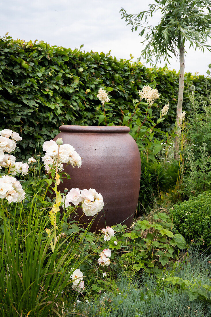 Large terracotta amphora in the flowering garden