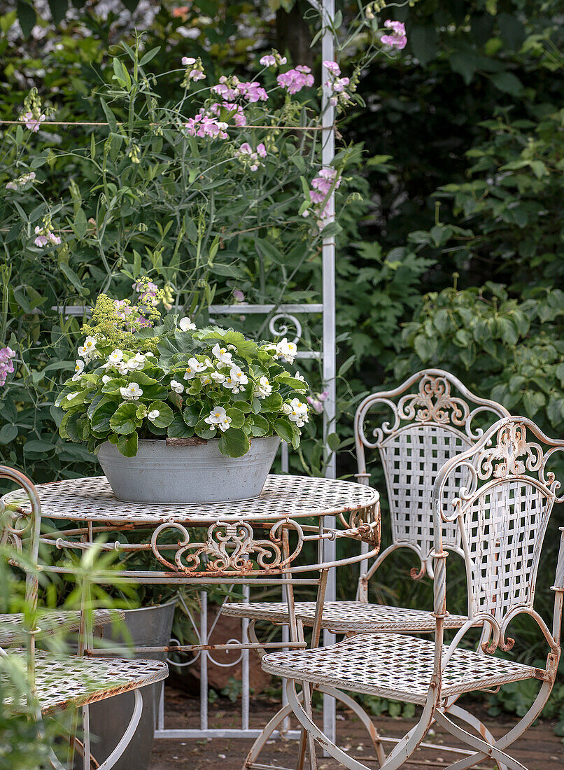 Romantische Sitzecke mit rostigen Metallmöbeln im Garten