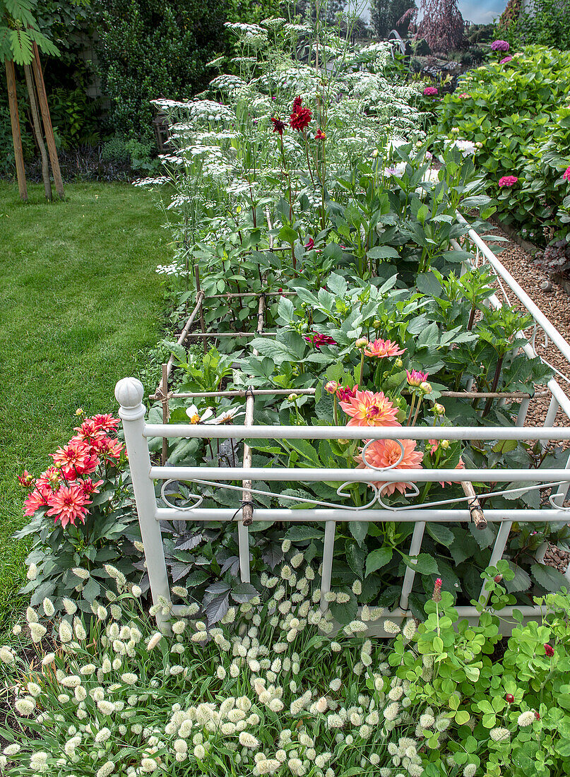 Flower bed with vintage bed frame as a border