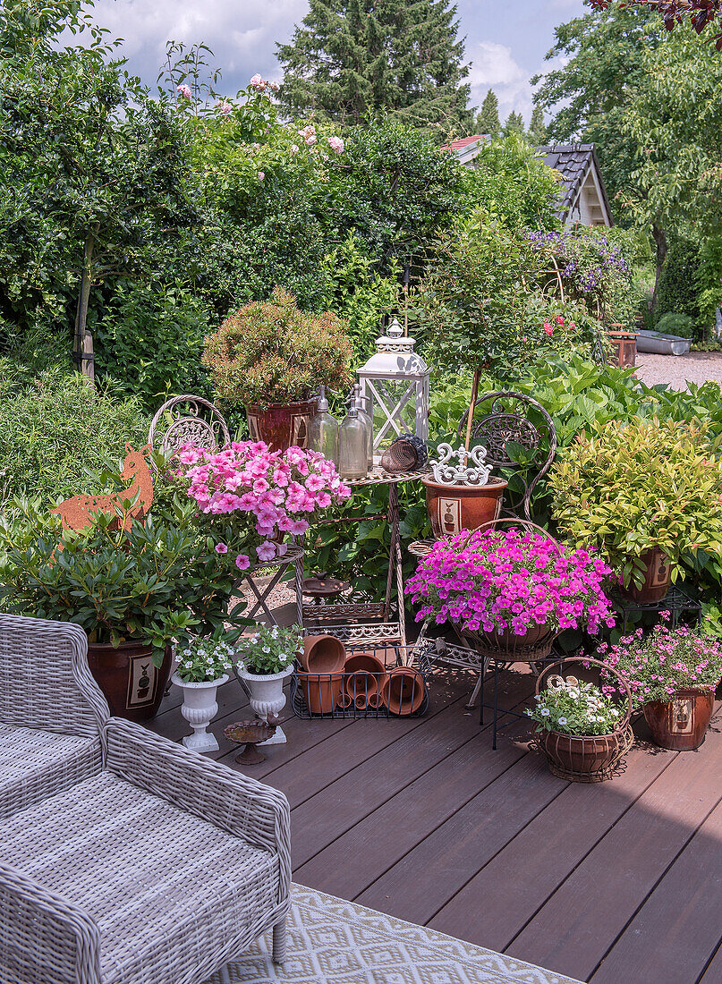 Blooming terrace oasis with petunias, lantern and decorative flower pots