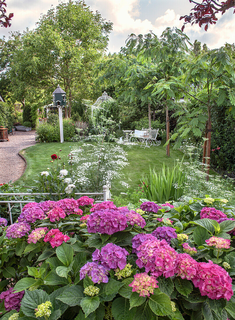 Summer garden with hydrangeas in bloom and romantic garden furniture