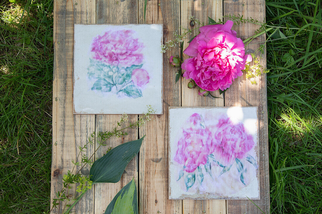 Peony (Paeonia) and flower pictures arranged on wooden boards