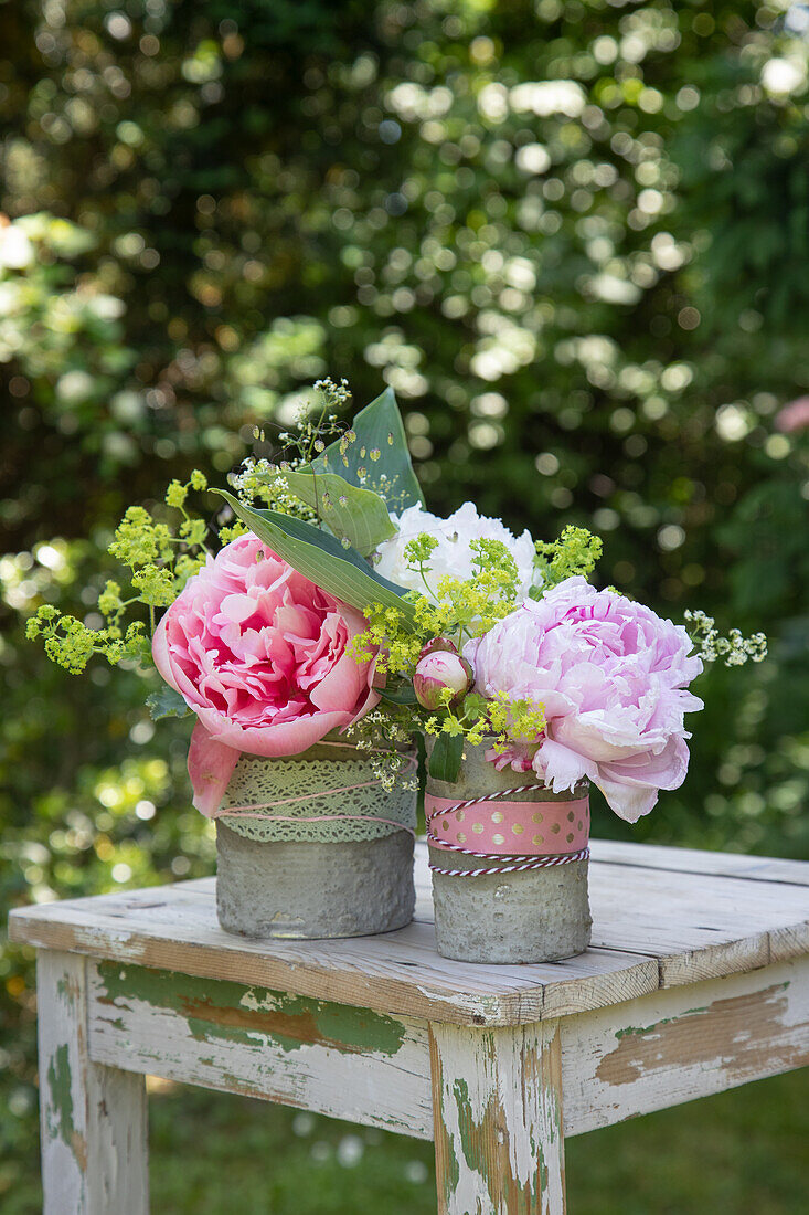 Pink peonies (Paeonia) in vintage tins on a rustic wooden table in the garden