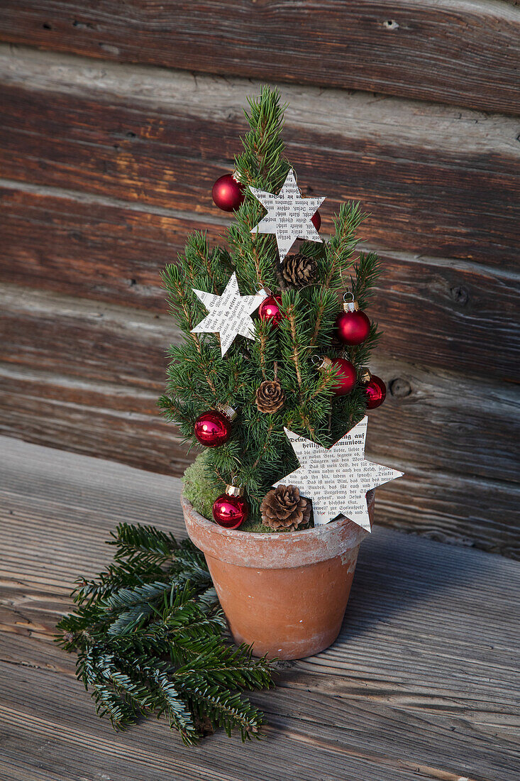 Kleiner Weihnachtsbaum im Tontopf mit roten Kugeln und Papiersternen