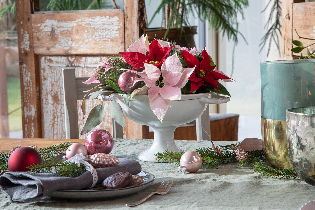 Weihnachtlich dekorierter Tisch mit Weihnachtssternen (Poinsettia) und Christbaumkugeln