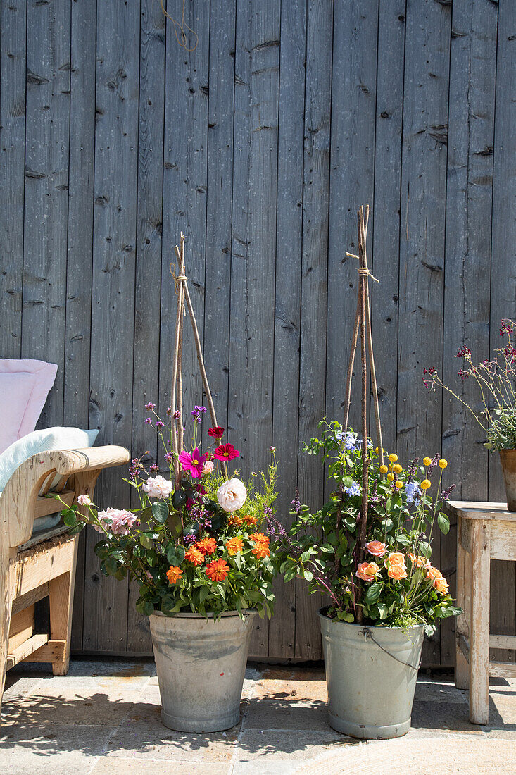 Flower-filled planters with climbing supports in front of wooden wall in garden