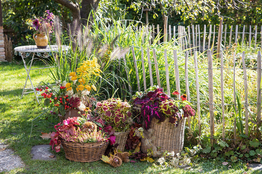 Autumnal decorated garden with colorful flowers in baskets and vases