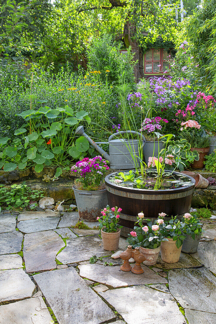 Various plants and mini water garden in the garden with stone path