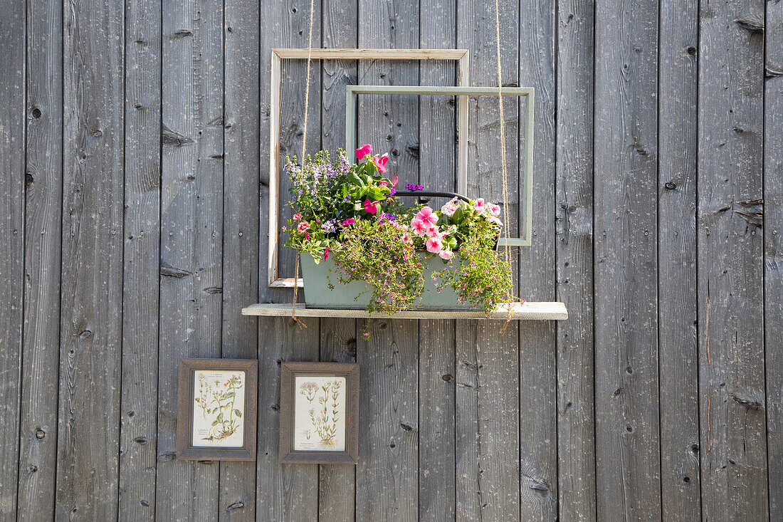 Decorative flower box with petunias on wooden garden wall