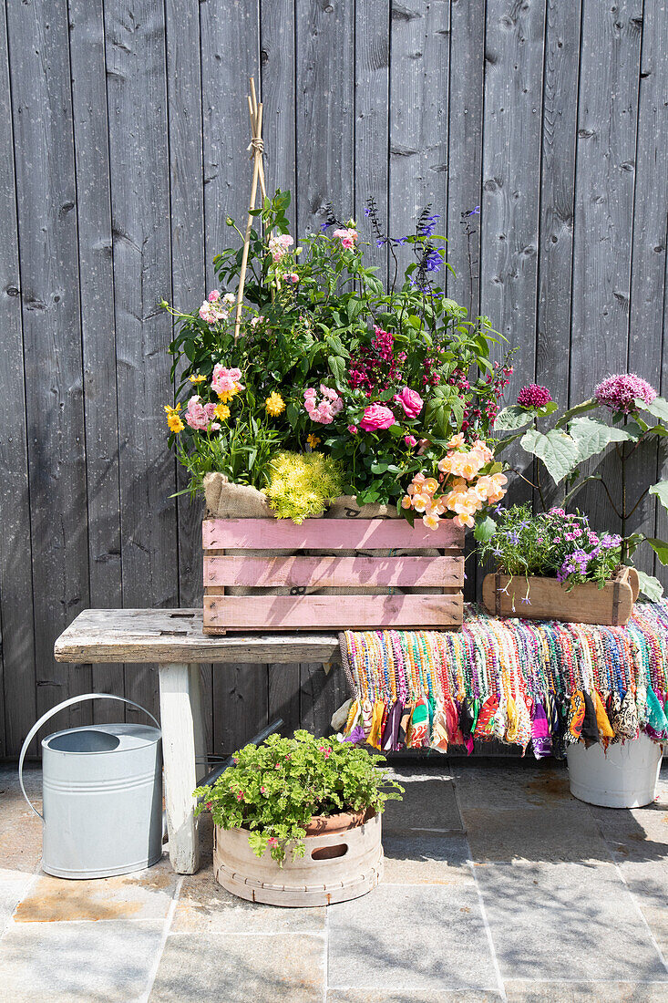 Colourful summer flowers in pink wooden box in front of wooden slatted wall